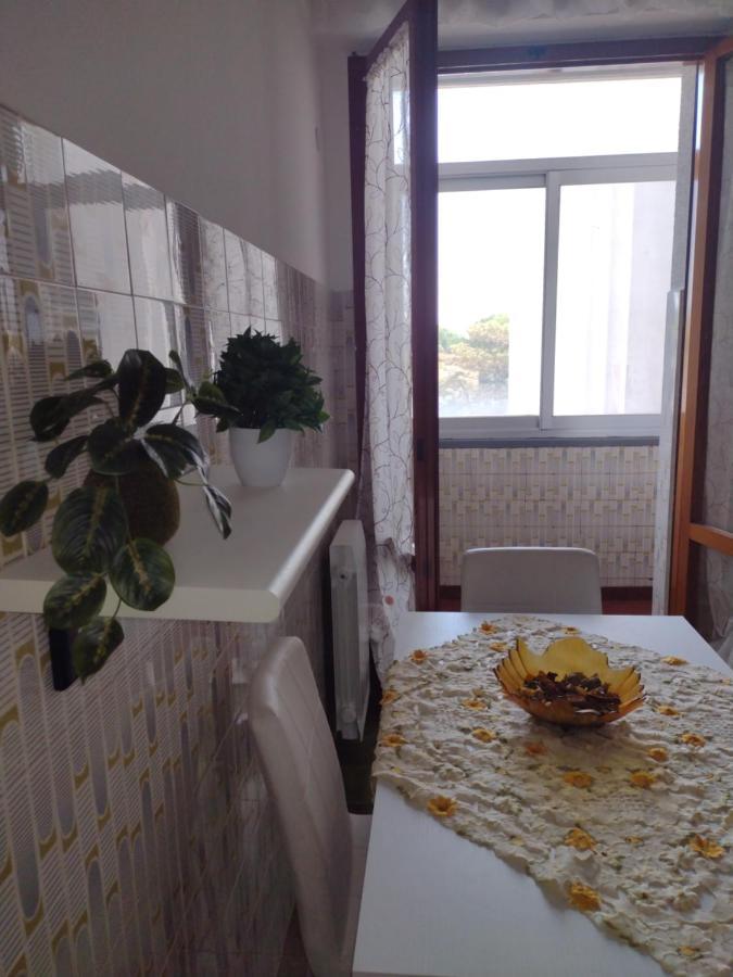 B&B L'Orchidea Pisa Exteriér fotografie