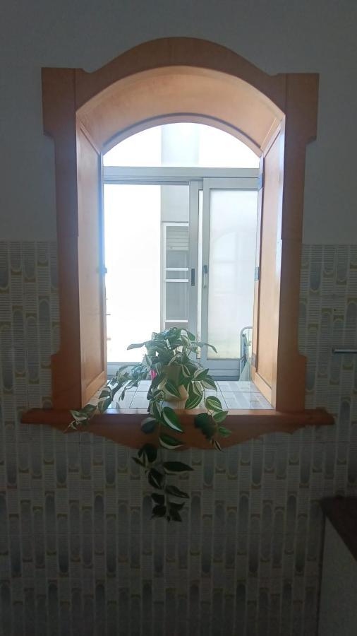 B&B L'Orchidea Pisa Exteriér fotografie