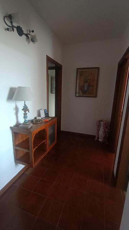 B&B L'Orchidea Pisa Exteriér fotografie